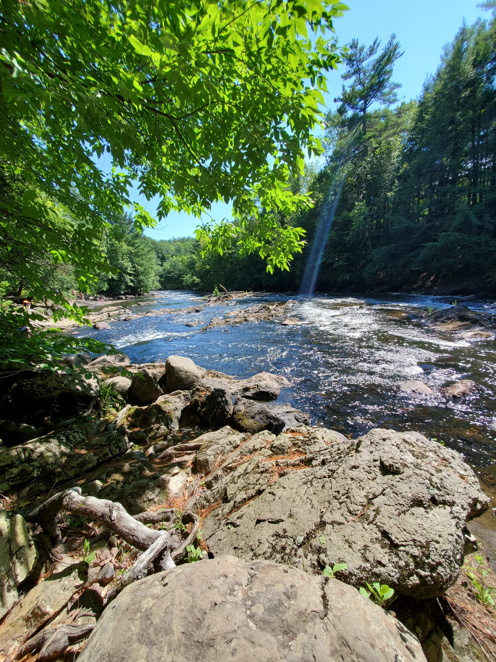 Rio Maskinongé correndo entre pedras e floresta no verão